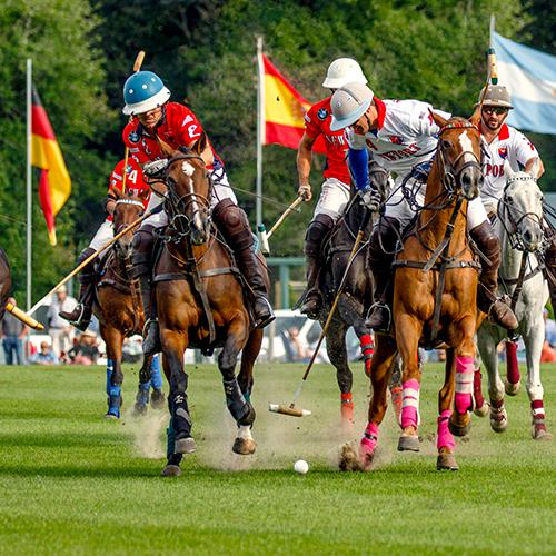 Us polo newport ri Clearance